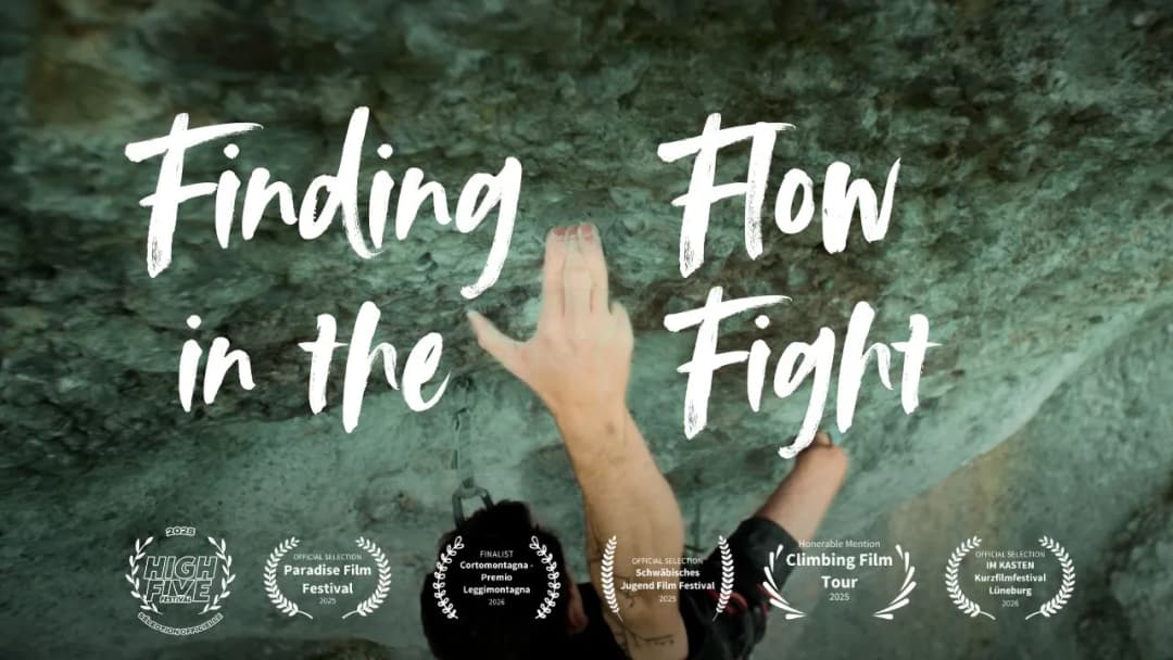 Finding flow in the Fight