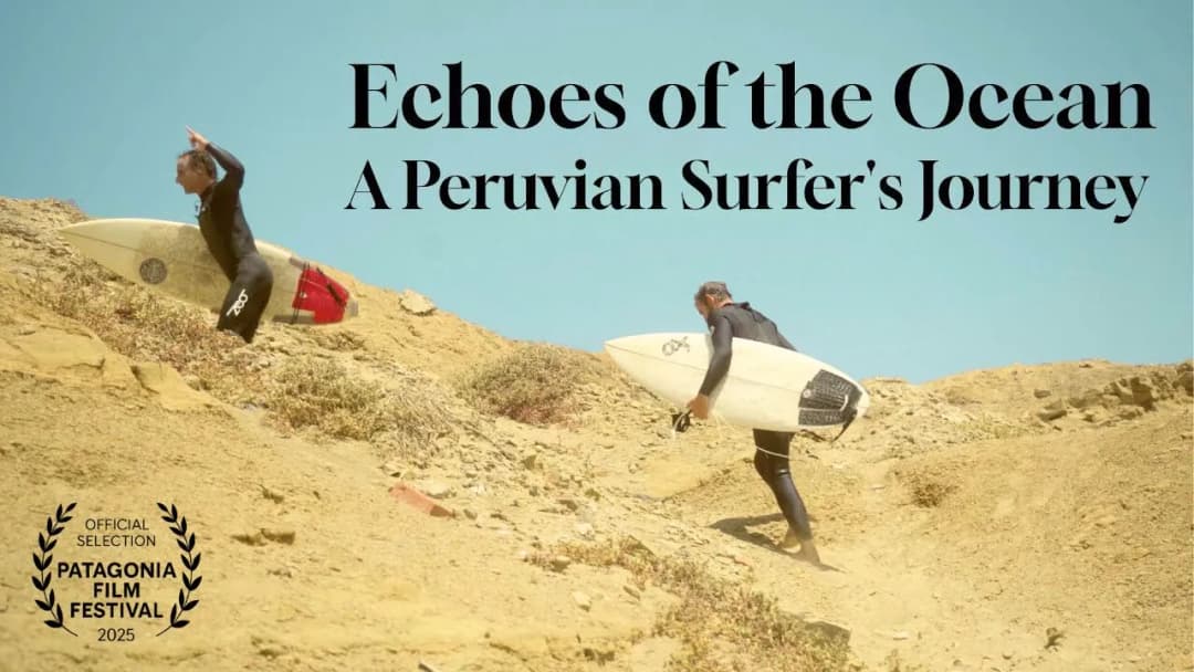 Echoes of the ocean