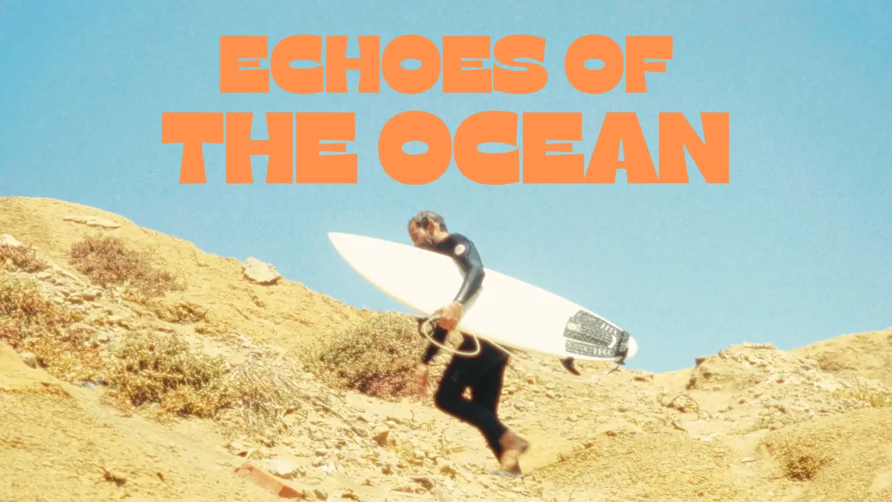 Echoes of the ocean