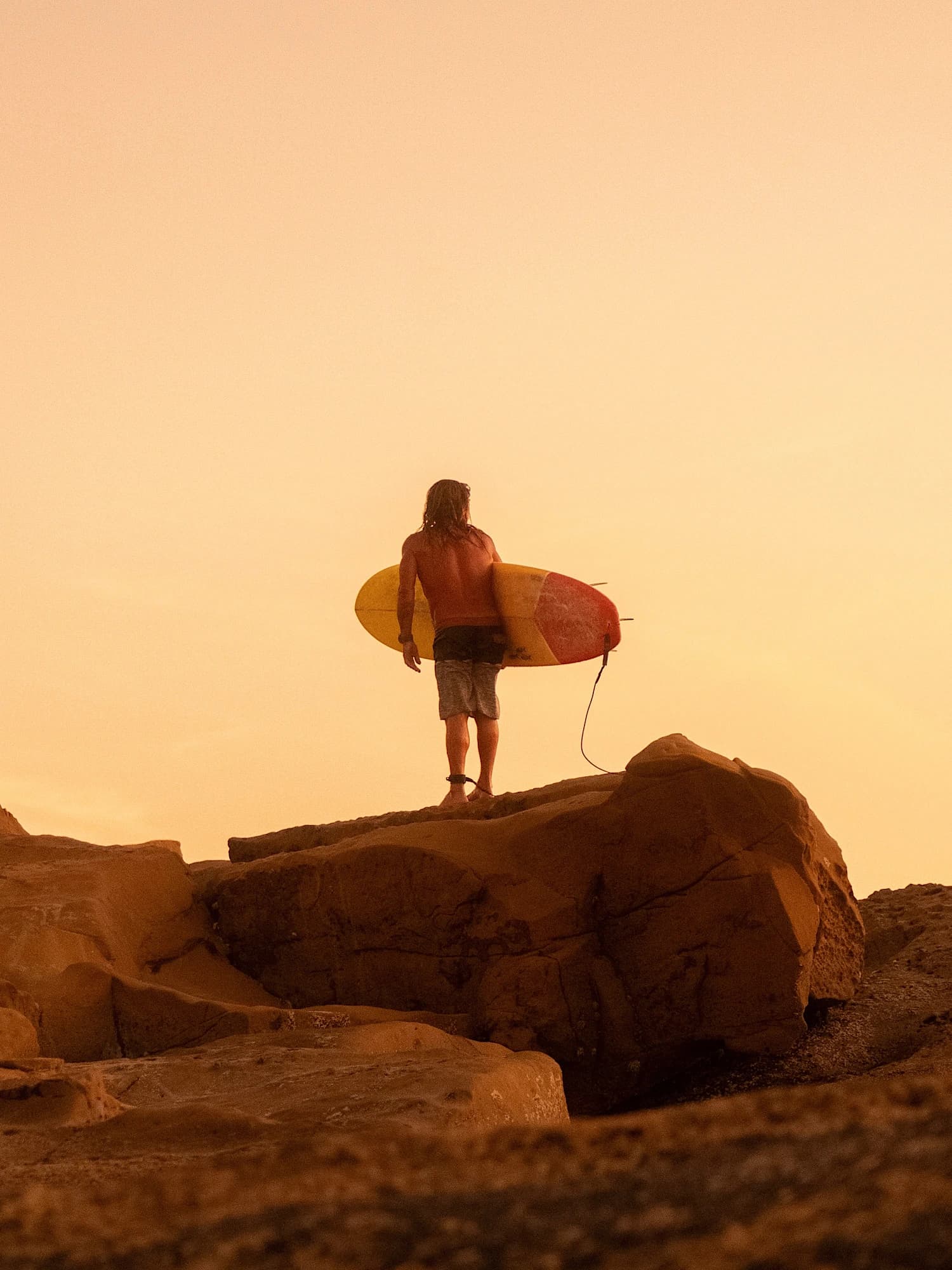 The Surfer