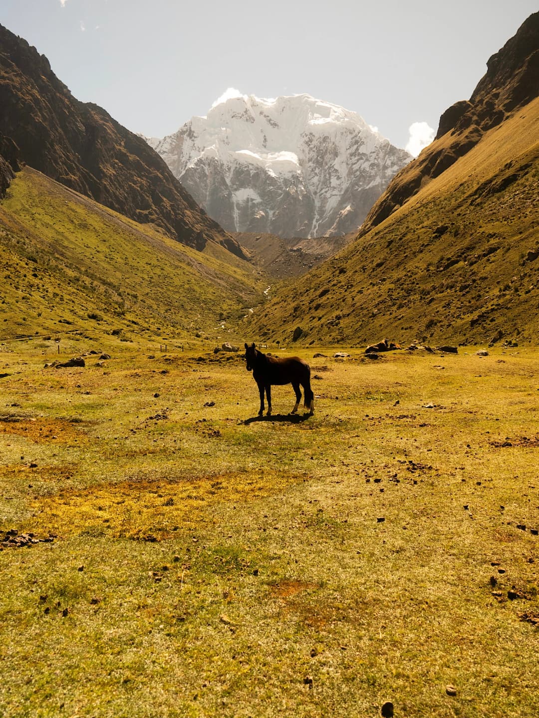 Salkantay