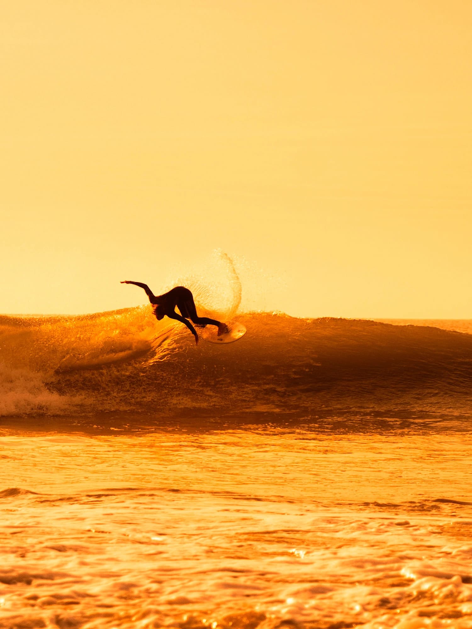 Surfer Lobitos